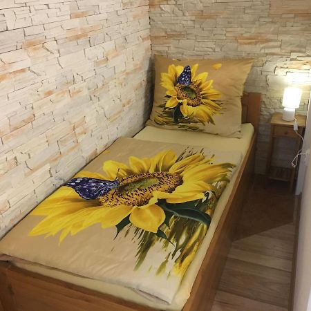 צ'סקה בודיוביצה Apartman Slunecnice S Terasou מראה חיצוני תמונה