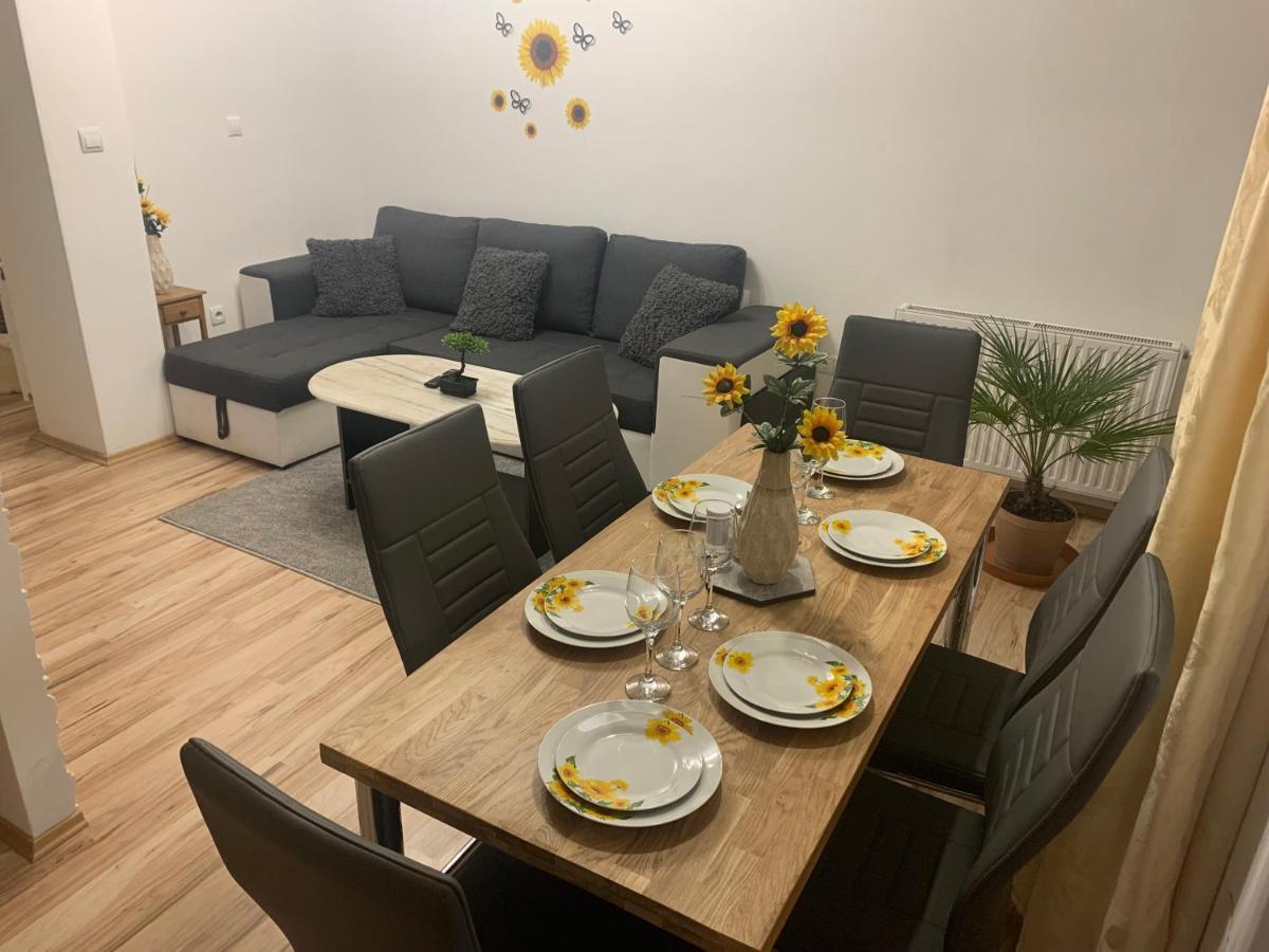 צ'סקה בודיוביצה Apartman Slunecnice S Terasou מראה חיצוני תמונה