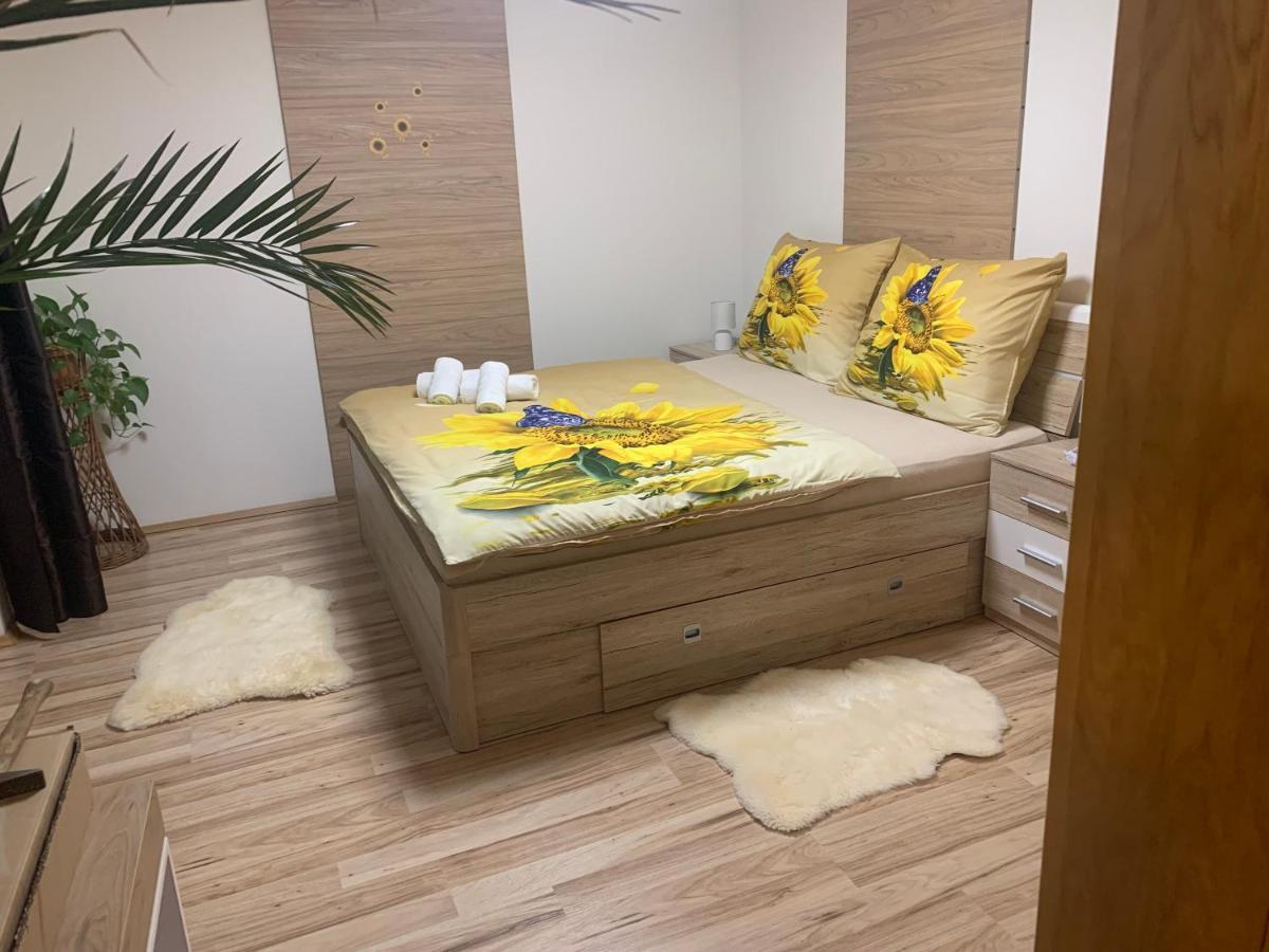 צ'סקה בודיוביצה Apartman Slunecnice S Terasou מראה חיצוני תמונה