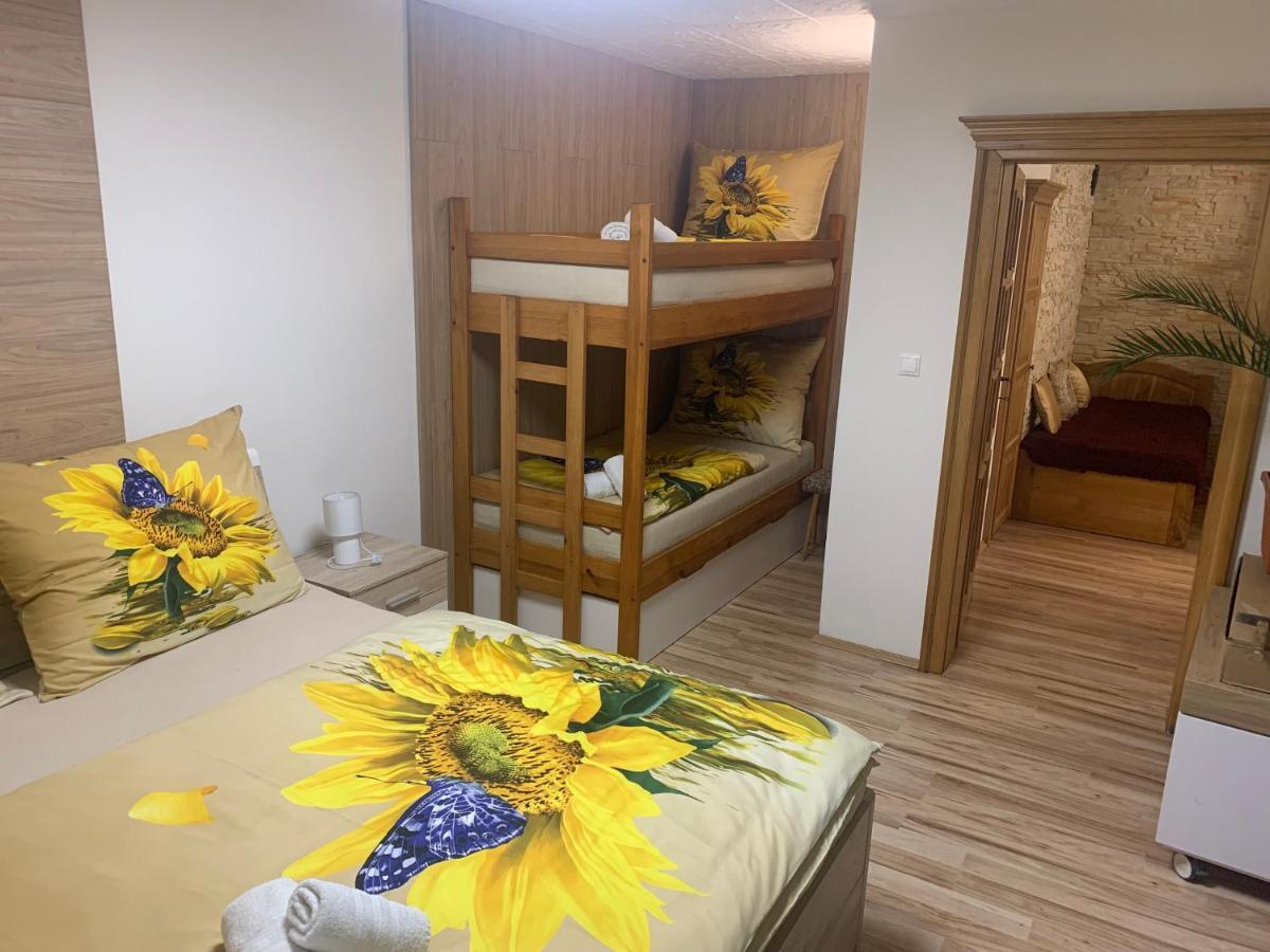 צ'סקה בודיוביצה Apartman Slunecnice S Terasou מראה חיצוני תמונה