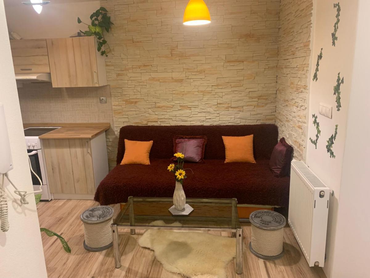 צ'סקה בודיוביצה Apartman Slunecnice S Terasou מראה חיצוני תמונה