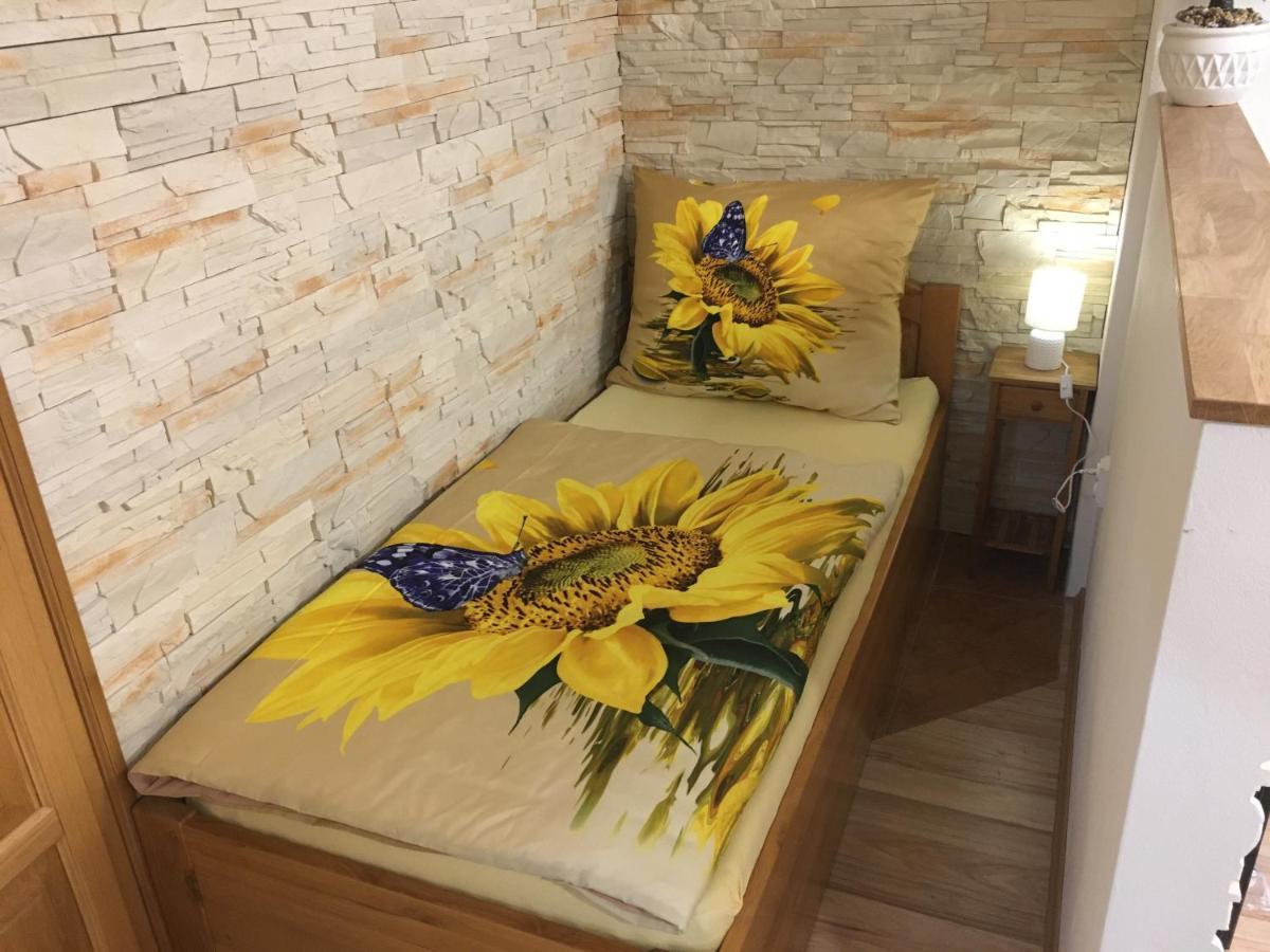 צ'סקה בודיוביצה Apartman Slunecnice S Terasou מראה חיצוני תמונה