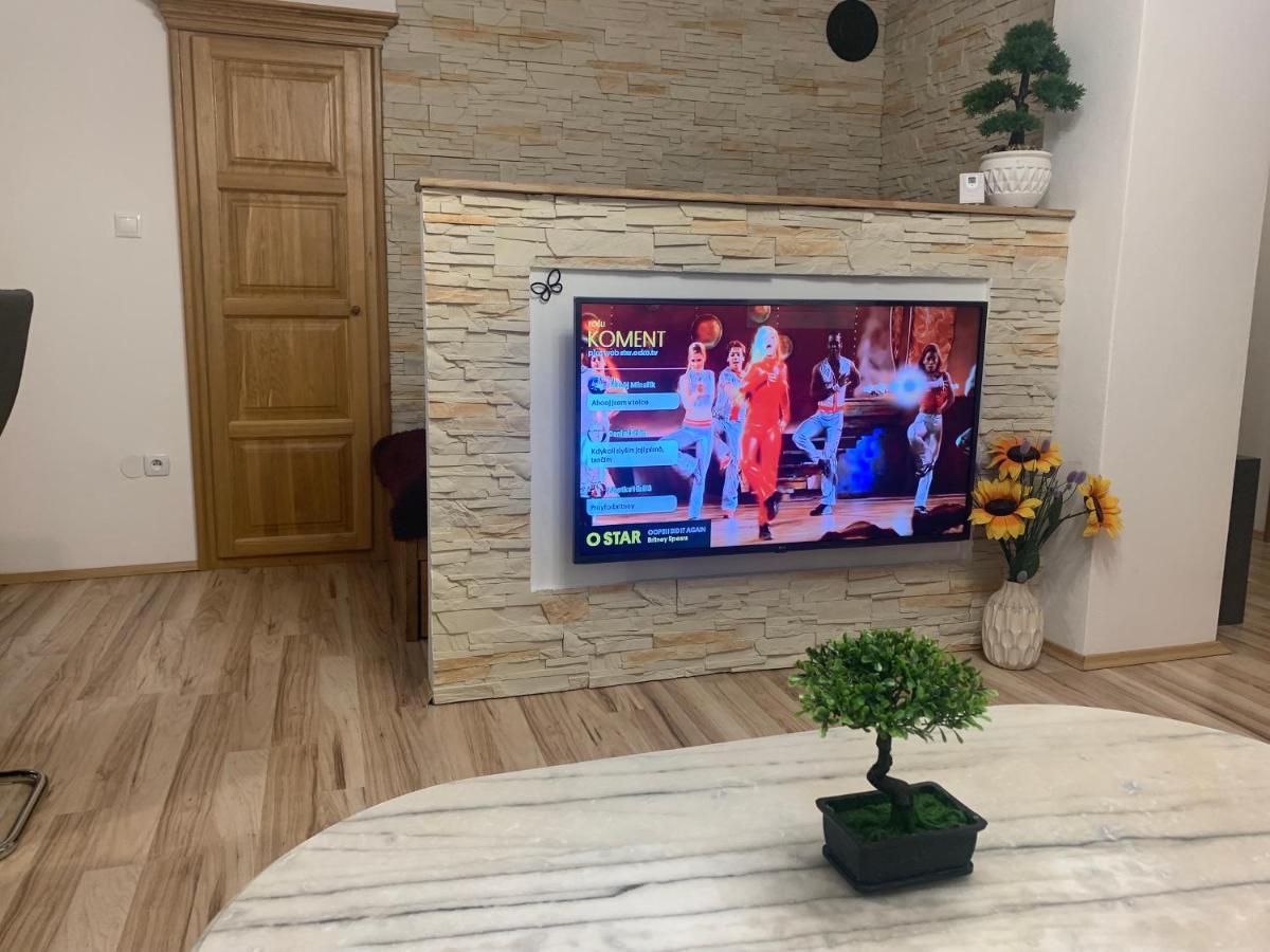 צ'סקה בודיוביצה Apartman Slunecnice S Terasou מראה חיצוני תמונה