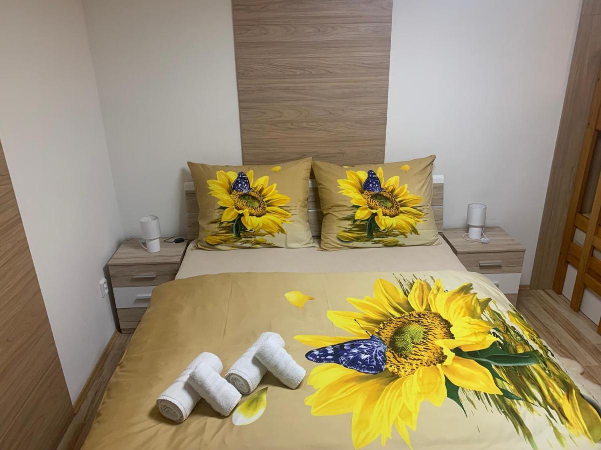 צ'סקה בודיוביצה Apartman Slunecnice S Terasou מראה חיצוני תמונה