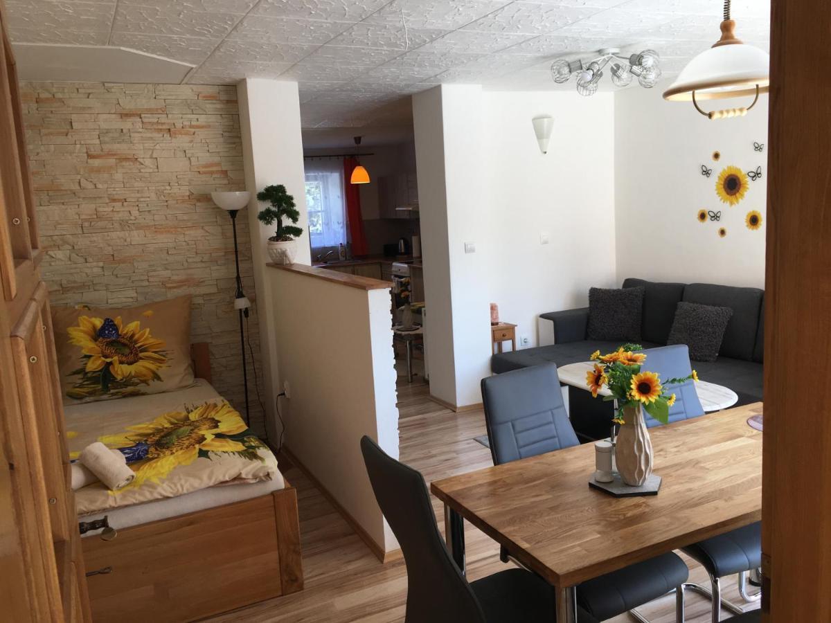 צ'סקה בודיוביצה Apartman Slunecnice S Terasou מראה חיצוני תמונה