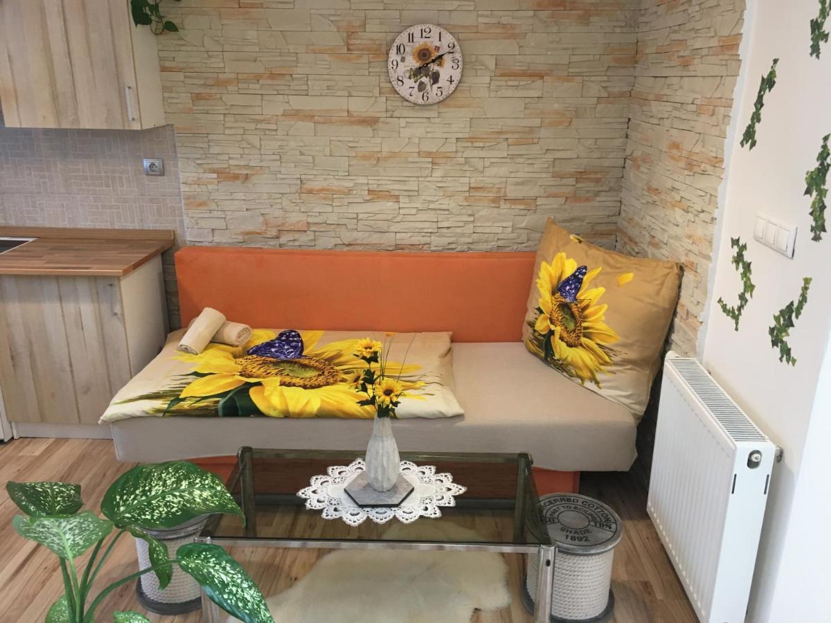 צ'סקה בודיוביצה Apartman Slunecnice S Terasou מראה חיצוני תמונה