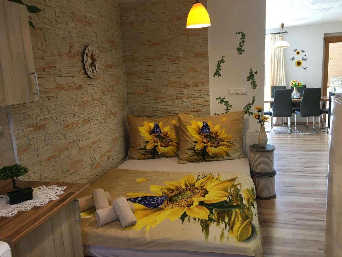 צ'סקה בודיוביצה Apartman Slunecnice S Terasou מראה חיצוני תמונה