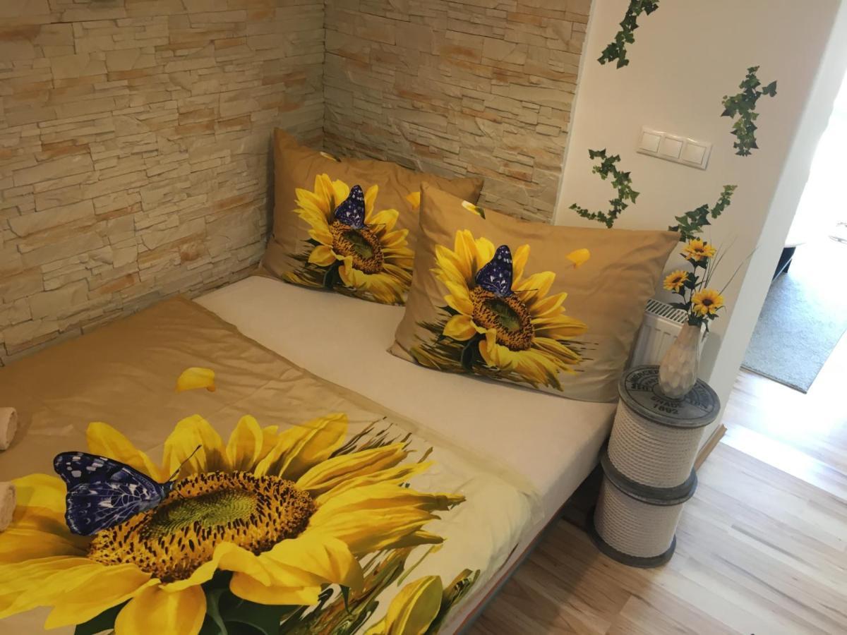 צ'סקה בודיוביצה Apartman Slunecnice S Terasou מראה חיצוני תמונה
